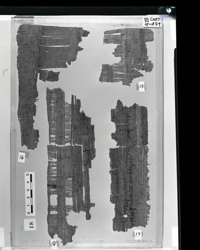 Codex VII cartonnage fragments