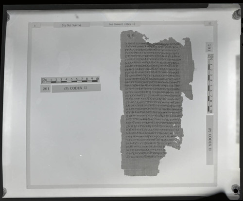 Codex II, papyrus page 93