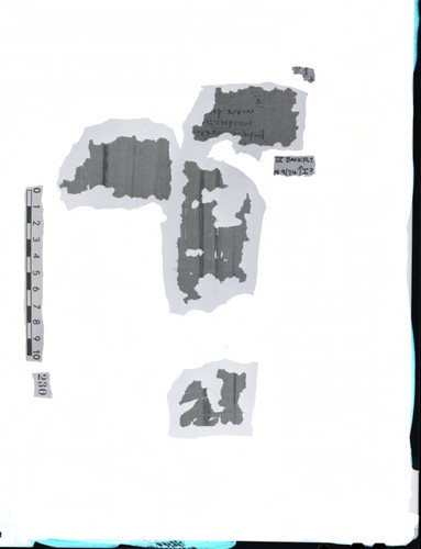 Codex IV, back fly K