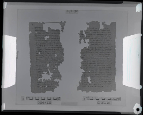 Codex VIII papyri pages 6 and 135
