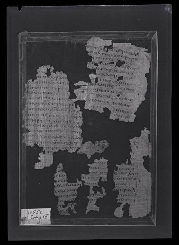 Codex IV, papyrus page 11