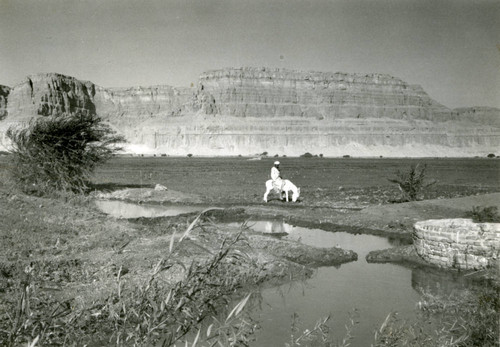 Jabal al-Ṭārif with well