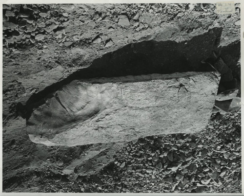 Stone with inscriptions