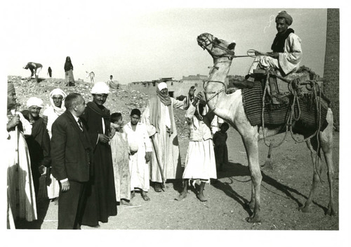 Abrām Bibāwī, Naj' Ḥammādī locals, and camel