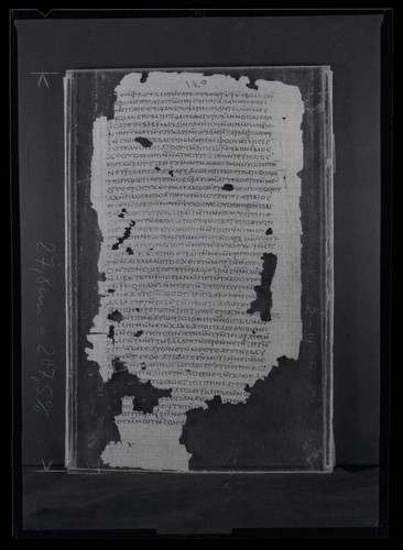 Codex II, papyrus page 143