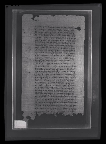 Codex VII, papyrus page 42