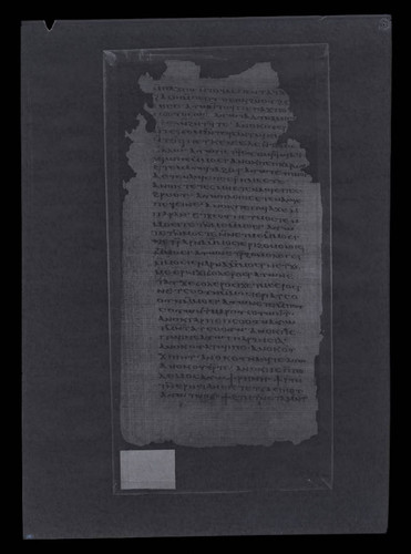 Codex VI, papyrus page 14