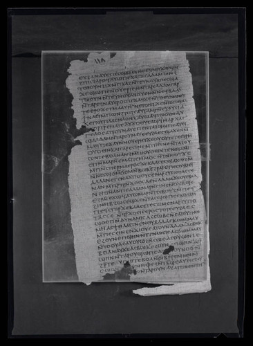 Codex II, papyrus page 116