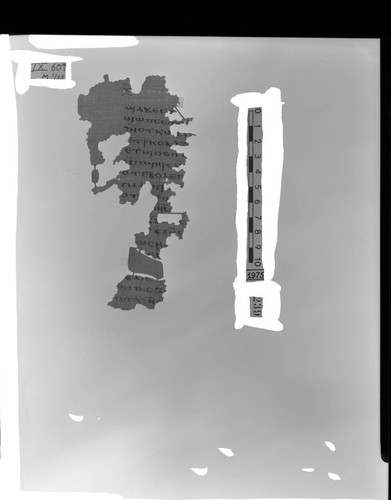 Codex IX, papyrus page 60