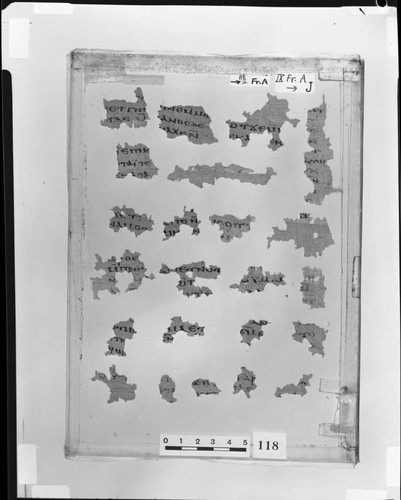 Codex IX papyri fragments