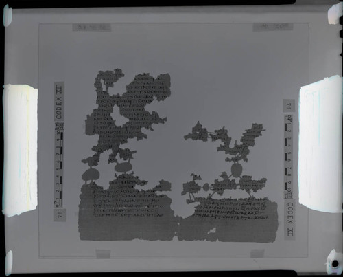 Codex XI, papyrus pages 48 and 25