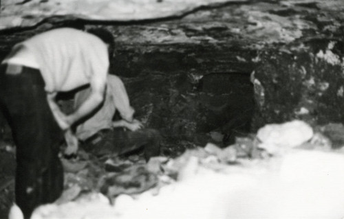 Scholars examine a tomb