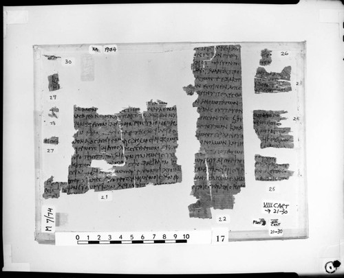 Codex VIII cartonnage fragments 21-30, recto