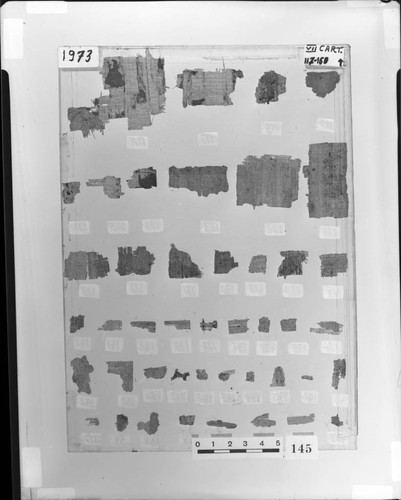 Codex VII cartonnage fragments 117-160, verso