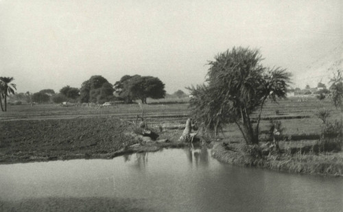 Valley of Jabal al-Ṭārif