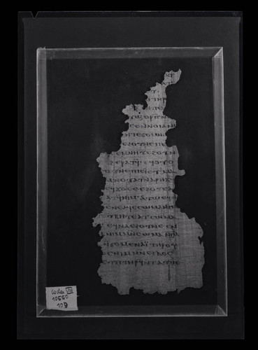 Codex VIII, papyrus page 65