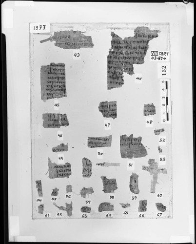 Codex VIII cartonnage fragments