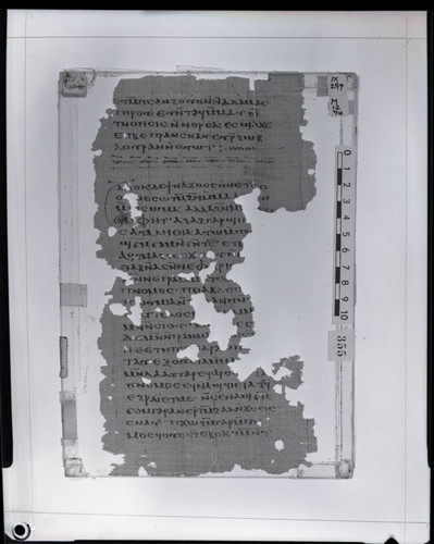 Codex IX, papyurs page 29