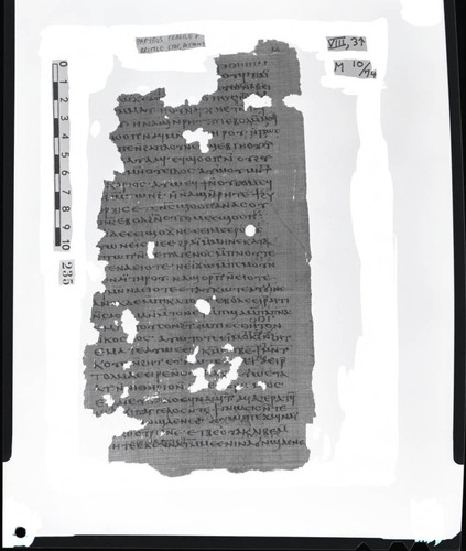 Codex VIII, papyrus page 3