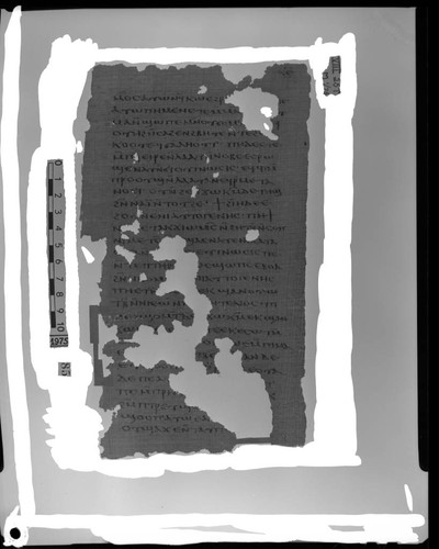 Codex VIII, papyrus page 25