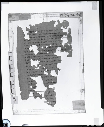 Codex VIII, papyrus page 114