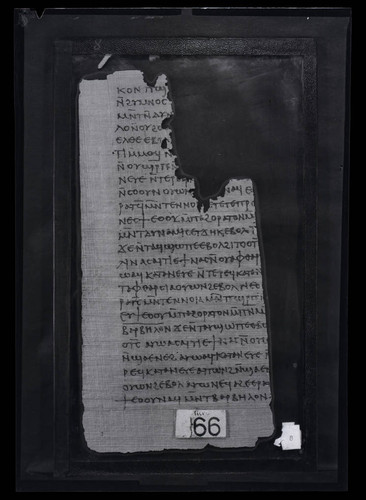 Codex III, papyrus page 8