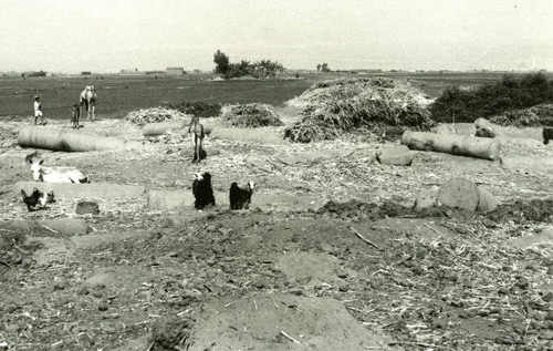 Pbow ruins at Fāw Qiblī