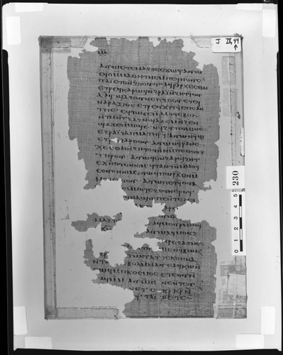 Codex IX papyrus page 44
