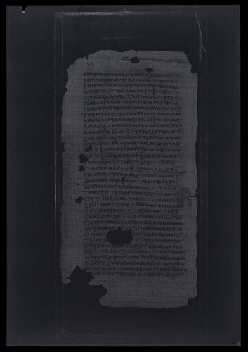 Codex II, papyrus page 12