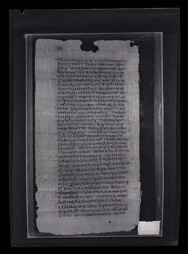 Codex VII, papyrus page 62