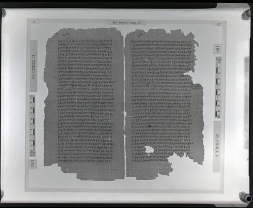 Codex II, papyrus pages 26 and 117