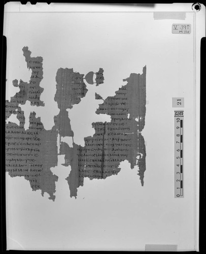 Codex V, papyrus page 39