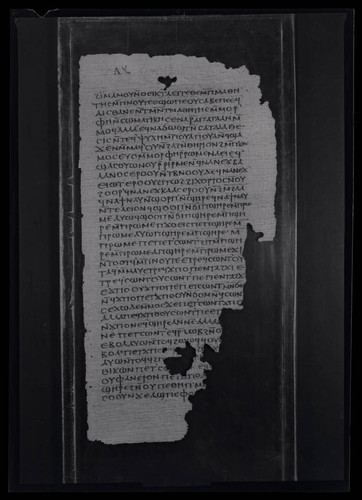 Codex II, papyrus page 81