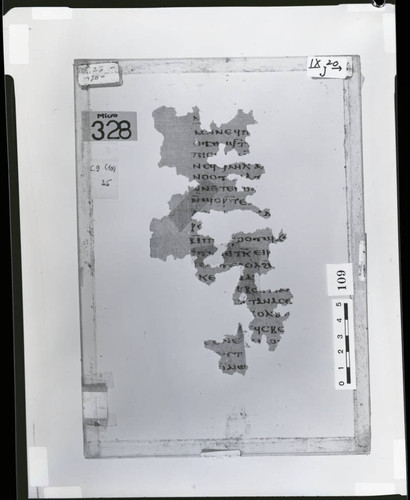 Codex IX papyrus page 20