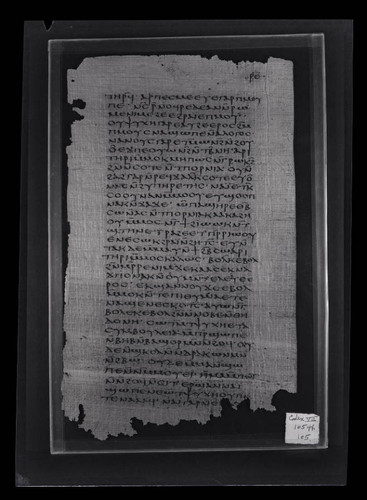 Codex VII, papyrus page 105