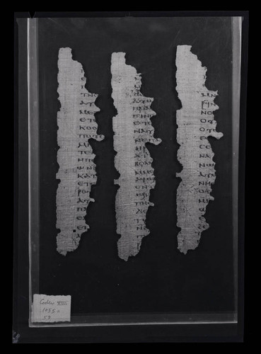 Codex VIII, papyrus page 102, 104, & 106