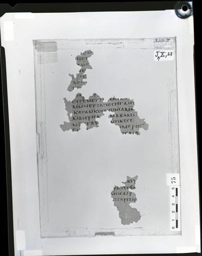 Codex X papyrus page 42