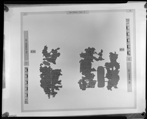 Codex XI, papyrus pages 2 and 69