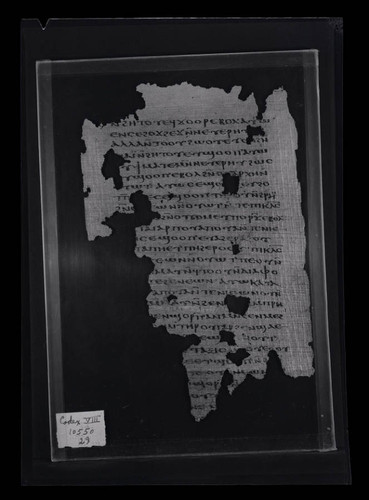 Codex VIII, papyrus page 115