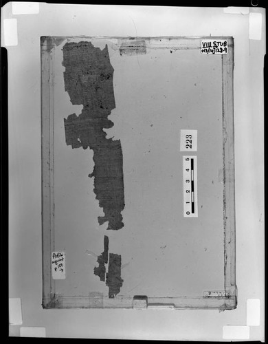 Codex VIII papyrus fragment, recto