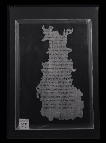 Codex VIII, papyrus page 67