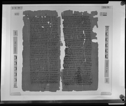 Codex I, papyrus pages 10 and 75