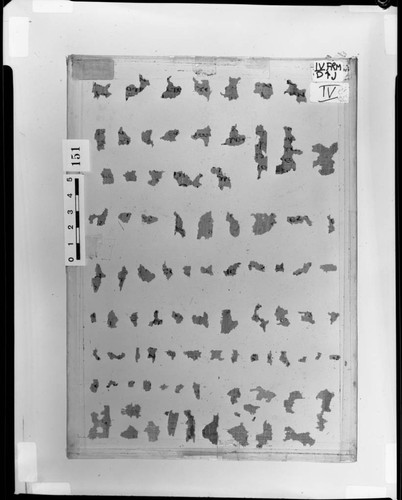 Codex IV flyleaf D fragments