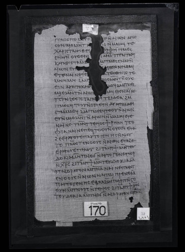 Codex III, papyrus page 12