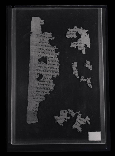 Codex VIII, papyrus page 40