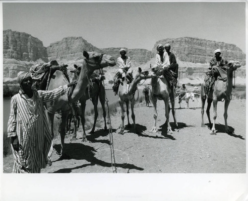 Jabal al-Ṭārif behind camel drivers