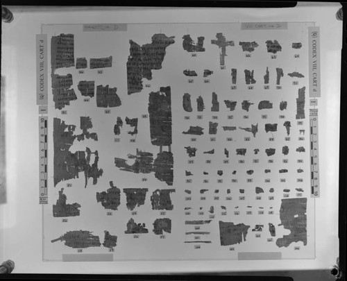 Codex VIII, papyrus fragments 41e-59e and 60e-126e