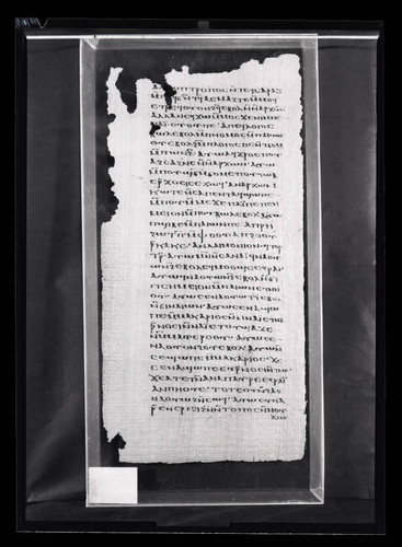 Codex VI, papyrus page 42