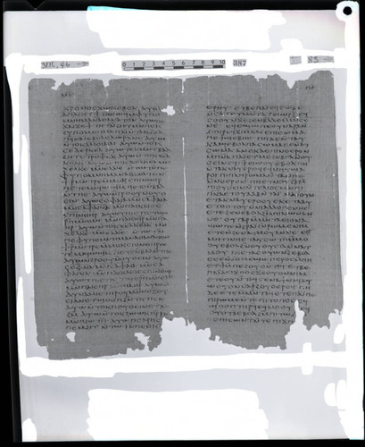Codex VII, papyri pages 46 and 83