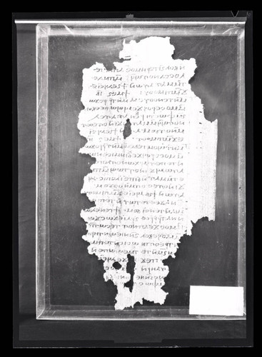 Codex V, papyrus page 82